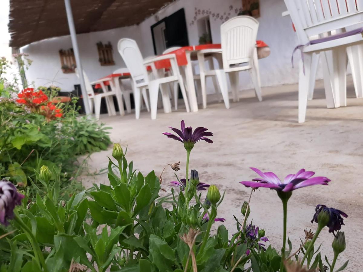 Es Barranco Konuk evi Ferreries Dış mekan fotoğraf