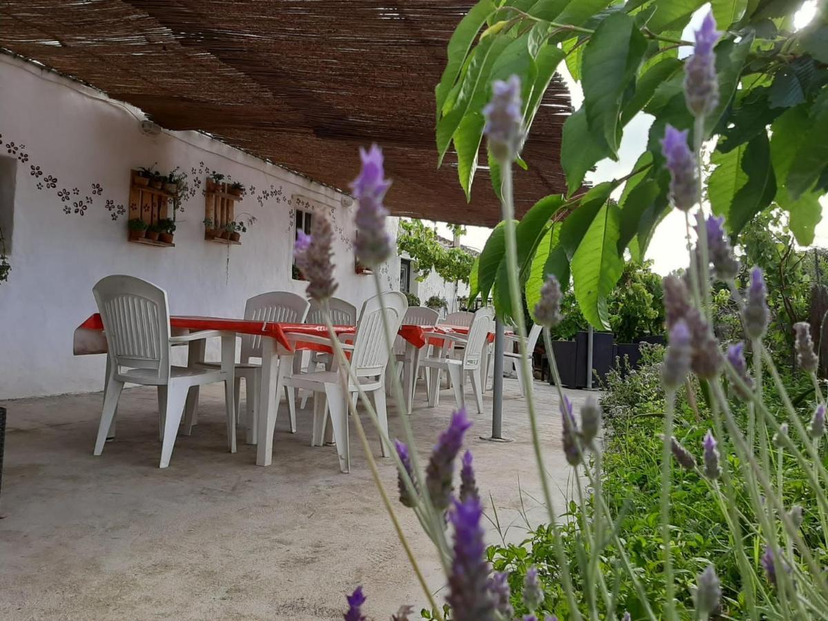Es Barranco Konuk evi Ferreries Dış mekan fotoğraf