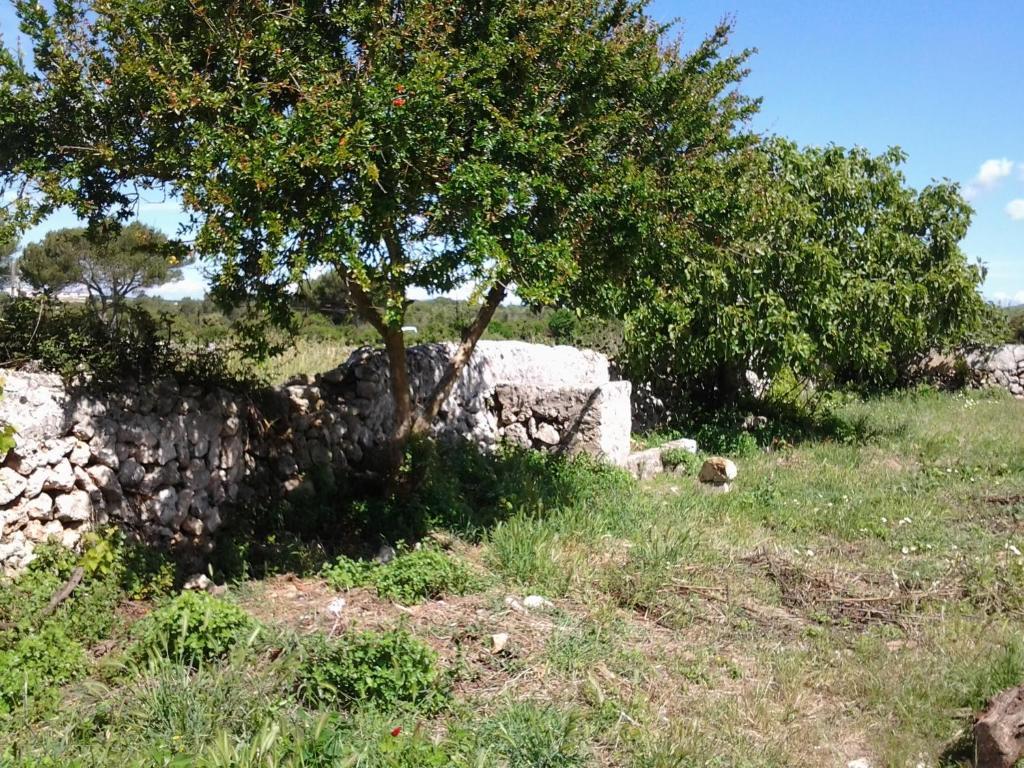 Es Barranco Konuk evi Ferreries Dış mekan fotoğraf